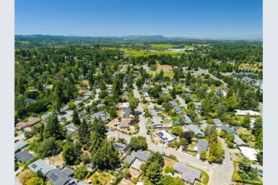 900 Dorthel Street, Sebastopol, CA 95472 - Photo 54