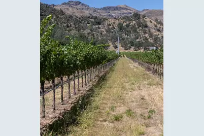 0 Rosedale Road, Calistoga, CA 94515 - Photo 20