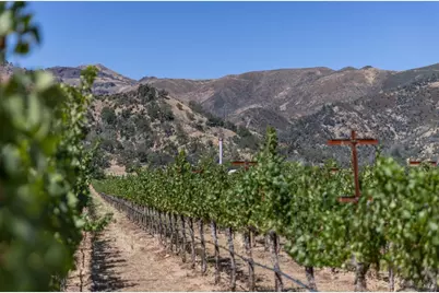 0 Rosedale Road, Calistoga, CA 94515 - Photo 22