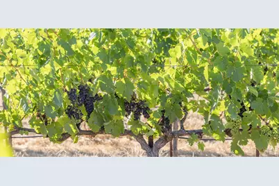 3091 Big Ranch Road, Napa, CA 94558 - Photo 24