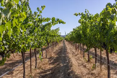 3091 Big Ranch Road, Napa, CA 94558 - Photo 26