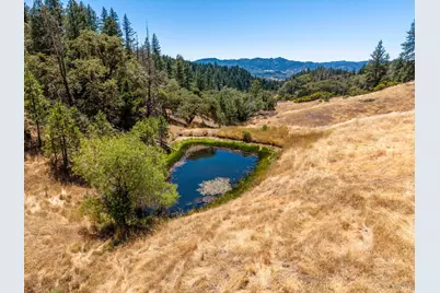 3550 Chinquapin Drive, Willits, CA 95490 - Photo 4