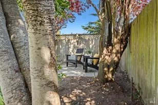 251 Flamingo Rd, Mill Valley, CA 94941 - Photo 44