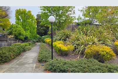 203 Sylvia Way, San Rafael, CA 94903 - Photo 42