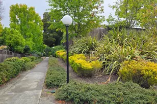 203 Sylvia Way, San Rafael, CA 94903 - Photo 42