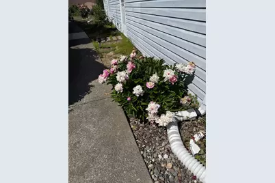 212 Julie Place, Napa, CA 94558 - Photo 30
