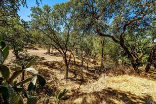 303 Ashlar Dr, Napa, CA 94558 - Photo 66