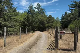 17777 Willow Creek Rd, Occidental, CA 95465 - Photo 40