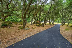 2585 Marra Rd, Occidental, CA 95465 - Photo 58