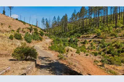 510 Deer Park Road, Saint Helena, CA 94574 - Photo 18