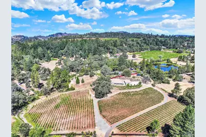 875 White Cottage Road, Angwin, CA 94508 - Photo 8