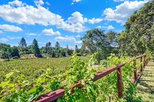 875 White Cottage Rd, Angwin, CA 94508 - Photo 22