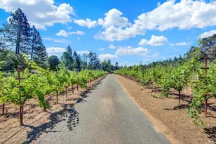 875 White Cottage Rd, Angwin, CA 94508 - Photo 10