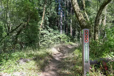 9 Meadow View Lane, San Geronimo, CA 94963 - Photo 10