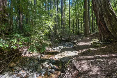 5 Meadow View Lane, San Geronimo, CA 94963 - Photo 14