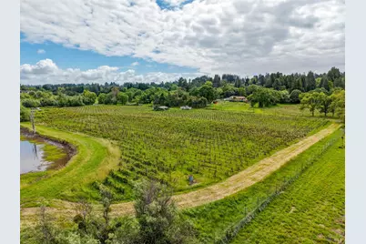 9700 Mill Station Road, Sebastopol, CA 95472 - Photo 28