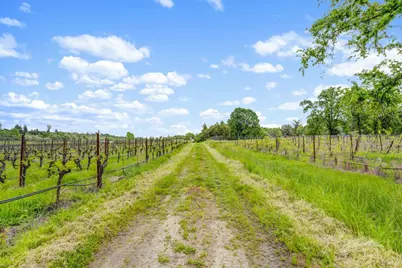 9700 Mill Station Road, Sebastopol, CA 95472 - Photo 48