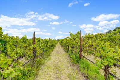 9700 Mill Station Road, Sebastopol, CA 95472 - Photo 46