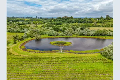 9700 Mill Station Road, Sebastopol, CA 95472 - Photo 24