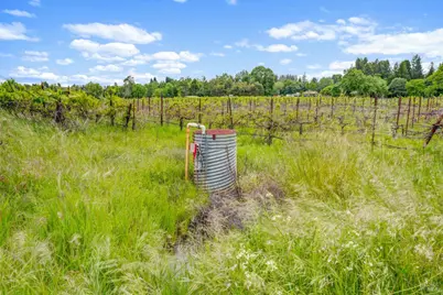 9700 Mill Station Road, Sebastopol, CA 95472 - Photo 44