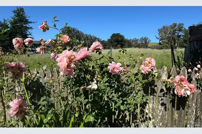 39 Carrie Street, Tomales, CA 94971 - Photo 40