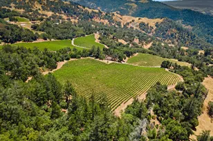 31920 Pine Mountain Rd, Cloverdale, CA 95425 - Photo 88