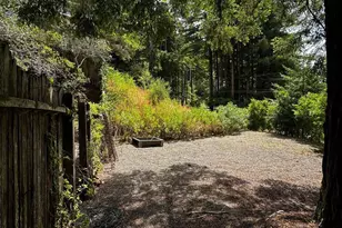 974 Lovell Ave, Mill Valley, CA 94941 - Photo 4