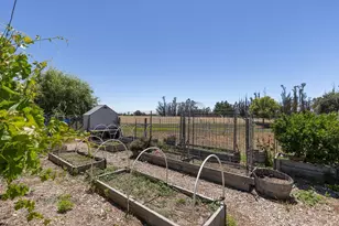 2510 Woolsey Rd, Windsor, CA 95492 - Photo 62