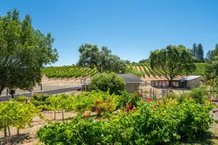 961 Chiquita Rd, Healdsburg, CA 95448 - Photo 30