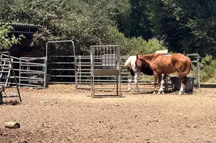 12847 Dunbar Rd, Glen Ellen, CA 95442 - Photo 1