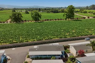 177 Sherry Cir, Yountville, CA 94599 - Photo 22