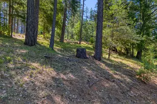 15800 Rainbow Dr, Cobb, CA 95426 - Photo 48