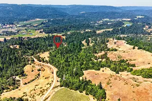 1800 Holmes Ranch Rd, Philo, CA 95466 - Photo 32