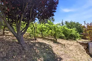 9160 Water Rd, Cotati, CA 94931 - Photo 34