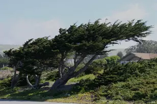 209 Calle Del Sol, Bodega Bay, CA 94923 - Photo 66