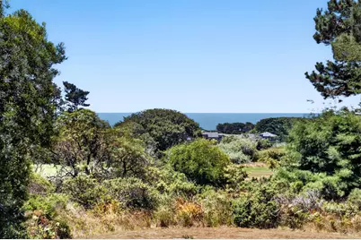 41289 Tallgrass, The Sea Ranch, CA 95497 - Photo 10