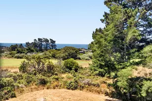 41289 Tallgrass, The Sea Ranch, CA 95497 - Photo 50