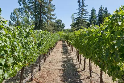 1685 Estee Avenue, Napa, CA 94558 - Photo 90