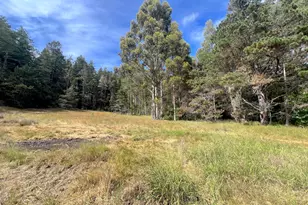 23285 Hwy 1, Jenner, CA 95450 - Photo 10
