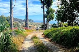 23285 Hwy 1, Jenner, CA 95450 - Photo 2