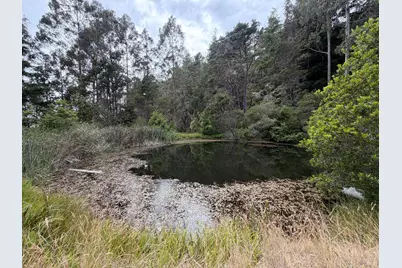 23285 Highway 1, Jenner, CA 95450 - Photo 14