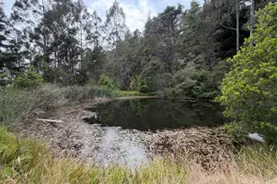 23285 Hwy 1, Jenner, CA 95450 - Photo 14
