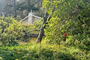 23285 Hwy 1, Jenner, CA 95450 - Photo 8