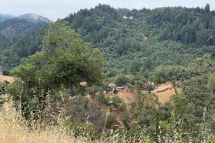 8950 Mill Creek Rd, Healdsburg, CA 95448 - Photo 14
