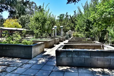 273 Napa Road, Sonoma, CA 95476 - Photo 48