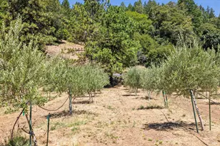 4627 Lake County Hwy, Calistoga, CA 94515 - Photo 42