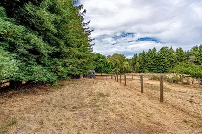 426 King Road, Petaluma, CA 94952 - Photo 52