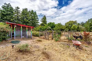 426 King Rd, Petaluma, CA 94952 - Photo 60