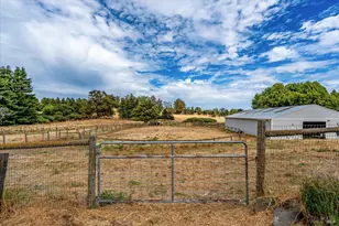 426 King Rd, Petaluma, CA 94952 - Photo 4