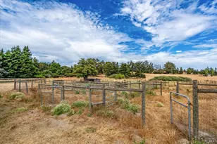 426 King Rd, Petaluma, CA 94952 - Photo 82